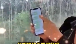 张兰遗憾爆料视频,揭秘背后真相与心酸历程